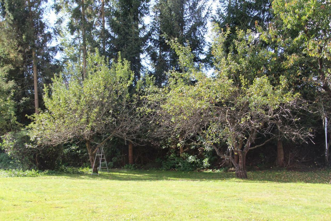 Villa Narrenhaus Fohnsdorf Esterno foto